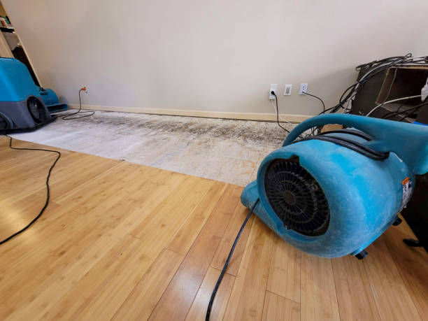 Professional Structural Drying technician working in Bennett, NC
